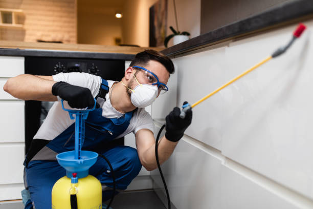 Pest Prevention Services in Hawthorne, CA