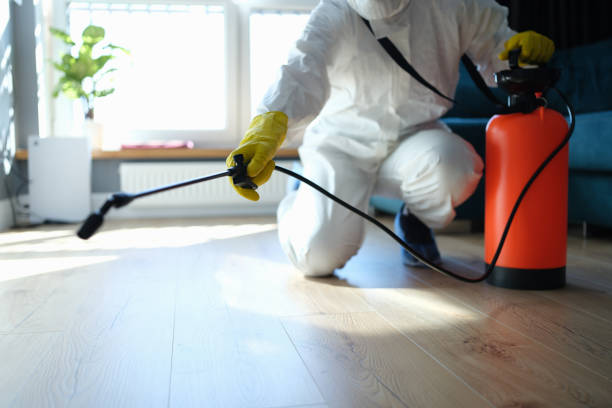 Best Flea Control Services  in Hawthorne, CA