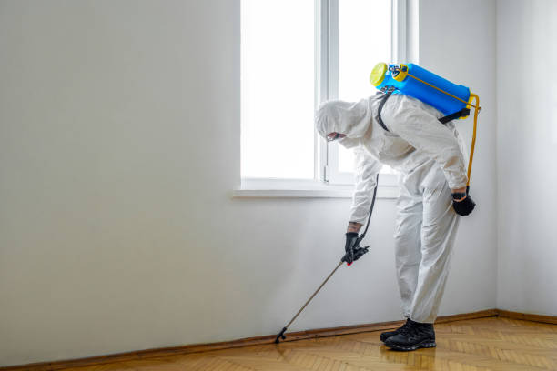 Best Rat Extermination Near Me  in Hawthorne, CA