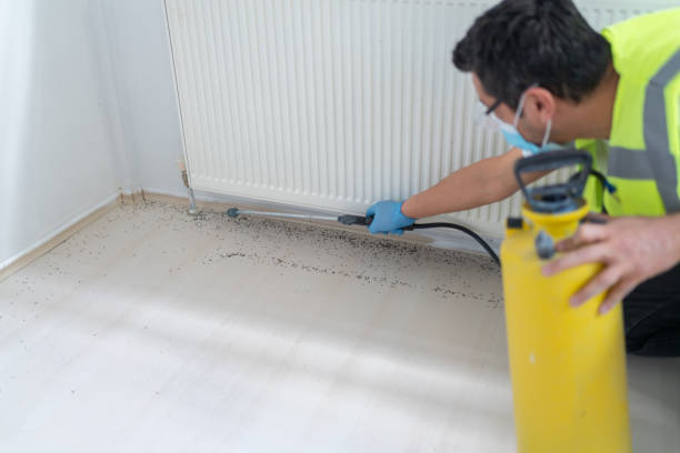 Best Commercial Pest Control Services  in Hawthorne, CA